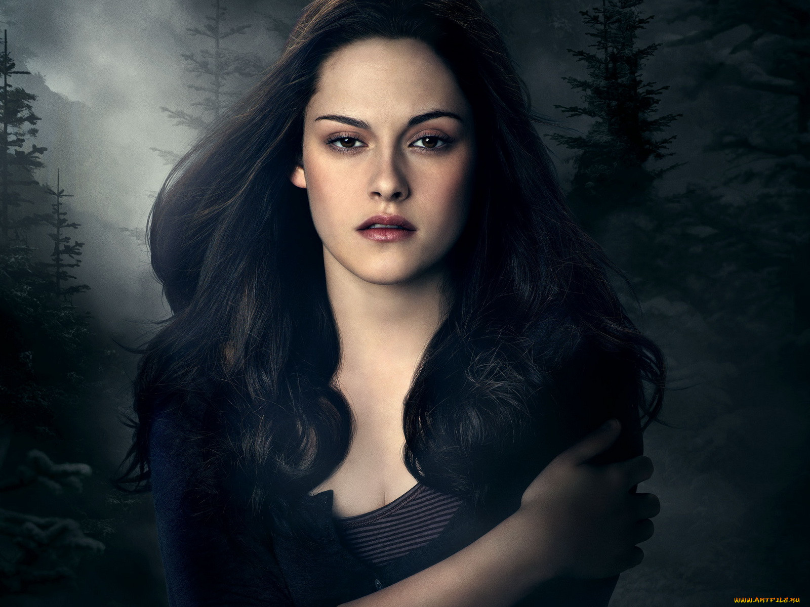 the, twilight, saga, eclipse, , 